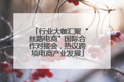 行业大咖汇聚“丝路电商”国际合作对接会，热议跨境电商产业发展