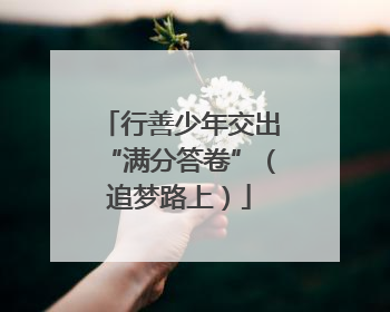 行善少年交出“满分答卷”（追梦路上）