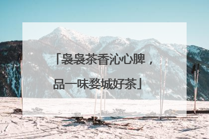 袅袅茶香沁心脾，品一味婺城好茶