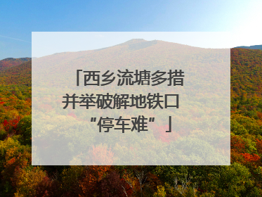 西乡流塘多措并举破解地铁口“停车难”