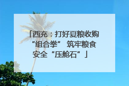 西充：打好夏粮收购“组合拳” 筑牢粮食安全“压舱石”