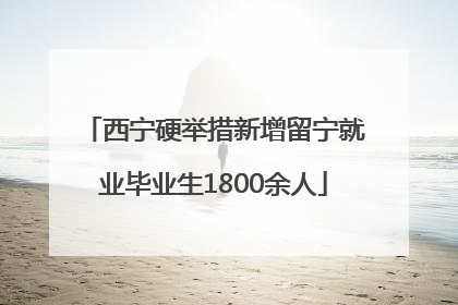 西宁硬举措新增留宁就业毕业生1800余人