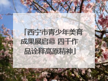 西宁市青少年美育成果展启幕 四千作品诠释高原精神