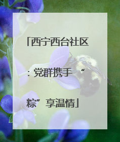 西宁西台社区：党群携手 “粽”享温情