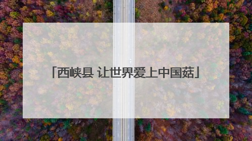西峡县 让世界爱上中国菇