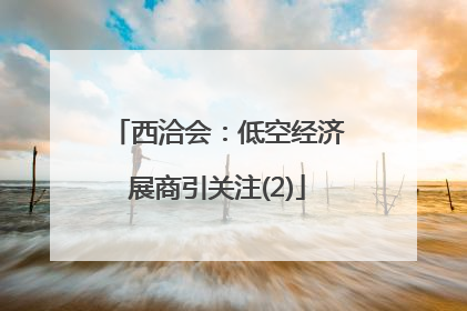 西洽会：低空经济展商引关注(2)
