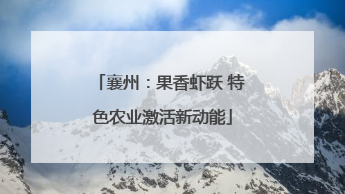 襄州：果香虾跃 特色农业激活新动能