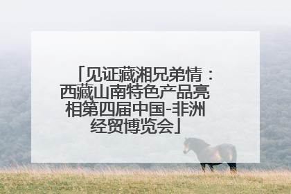 见证藏湘兄弟情：西藏山南特色产品亮相第四届中国-非洲经贸博览会
