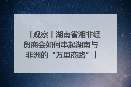 观察丨湖南省湘非经贸商会如何串起湖南与非洲的“万里商路”
