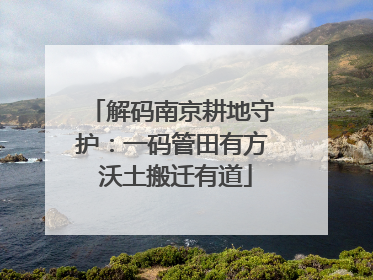 解码南京耕地守护：一码管田有方 沃土搬迁有道