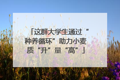 这群大学生通过“种养循环”助力小麦质“升”量“高”