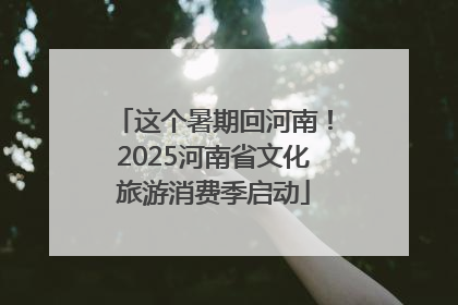 这个暑期回河南！2025河南省文化旅游消费季启动