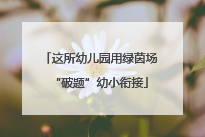 这所幼儿园用绿茵场“破题”幼小衔接