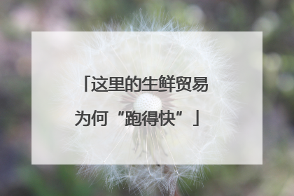 这里的生鲜贸易为何“跑得快”