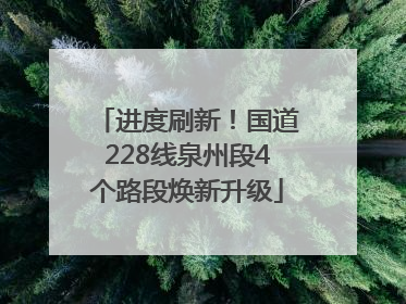 进度刷新！国道228线泉州段4个路段焕新升级