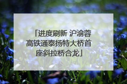 进度刷新 沪渝蓉高铁通泰扬特大桥首座斜拉桥合龙