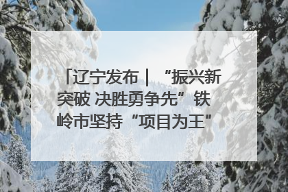 辽宁发布｜“振兴新突破 决胜勇争先”铁岭市坚持“项目为王”推进经济高质量发展