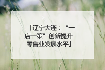 辽宁大连：“一店一策”创新提升零售业发展水平
