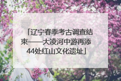 辽宁春季考古调查结束——大凌河中游再添44处红山文化遗址
