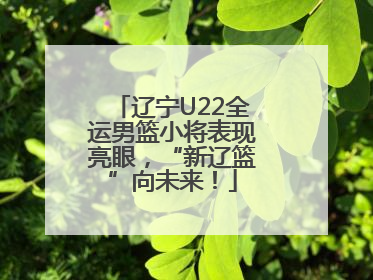 辽宁U22全运男篮小将表现亮眼，“新辽篮”向未来！