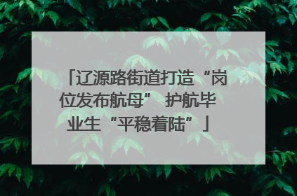 辽源路街道打造“岗位发布航母” 护航毕业生“平稳着陆”