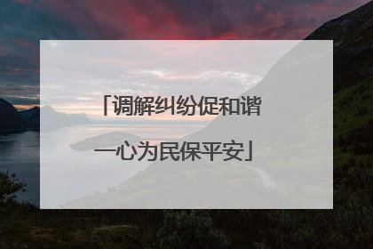 调解纠纷促和谐 一心为民保平安