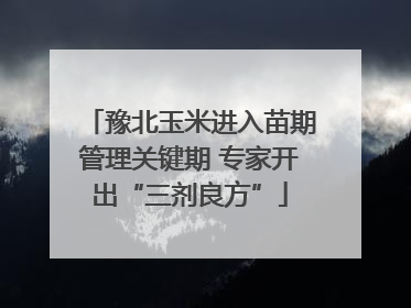 豫北玉米进入苗期管理关键期 专家开出“三剂良方”
