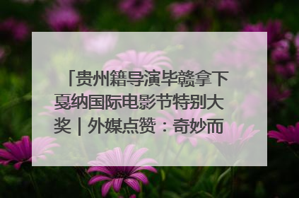 贵州籍导演毕赣拿下戛纳国际电影节特别大奖｜外媒点赞：奇妙而广阔的纯粹电影梦