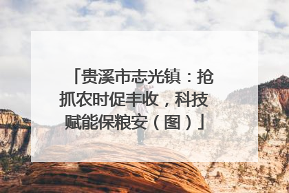 贵溪市志光镇：抢抓农时促丰收，科技赋能保粮安（图）