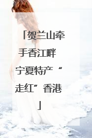 贺兰山牵手香江畔 宁夏特产“走红”香港