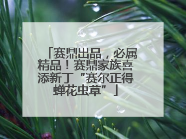 赛鼎出品，必属精品！赛鼎家族喜添新丁“赛尔正得蝉花虫草”