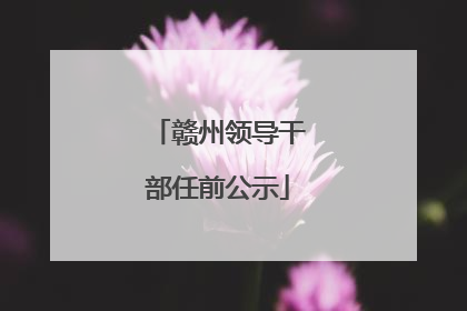 赣州领导干部任前公示