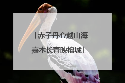 赤子丹心越山海 嘉木长青映榕城