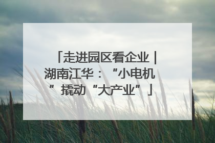 走进园区看企业｜湖南江华：“小电机”撬动“大产业”