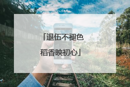 退伍不褪色 稻香映初心