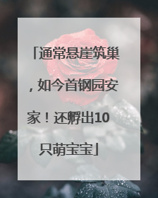 通常悬崖筑巢，如今首钢园安家！还孵出10只萌宝宝
