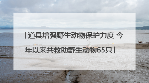 道县增强野生动物保护力度 今年以来共救助野生动物65只