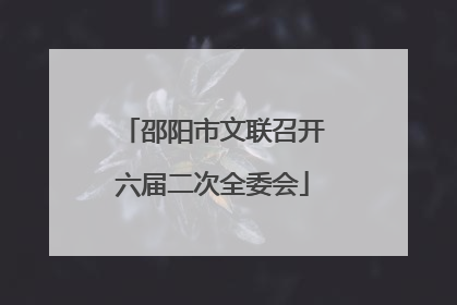 邵阳市文联召开六届二次全委会