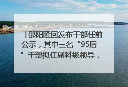 邵阳隆回发布干部任前公示，其中三名“95后”干部拟任副科级领导，均系硕士选调生