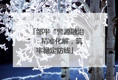 邹平“警源融治”：精准化解，筑牢稳定防线
