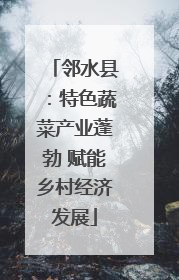 邻水县：特色蔬菜产业蓬勃 赋能乡村经济发展