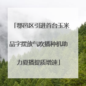 鄠邑区引进首台玉米品字摆放气吹播种机助力夏播提质增速
