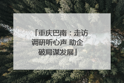 重庆巴南：走访调研听心声 助企破局谋发展