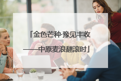 金色芒种·豫见丰收——中原麦浪翻滚时