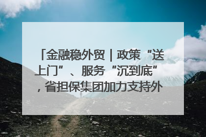 金融稳外贸｜政策“送上门”、服务“沉到底”，省担保集团加力支持外经贸高质量发展