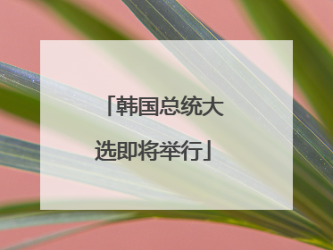 韩国总统大选即将举行