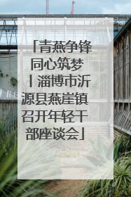 青燕争锋 同心筑梦丨淄博市沂源县燕崖镇召开年轻干部座谈会