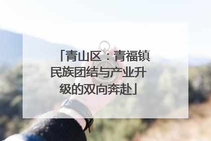 青山区：青福镇民族团结与产业升级的双向奔赴