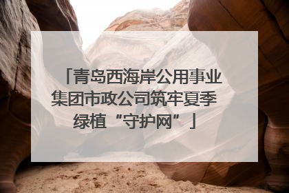 青岛西海岸公用事业集团市政公司筑牢夏季绿植“守护网”