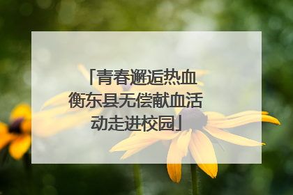 青春邂逅热血 衡东县无偿献血活动走进校园